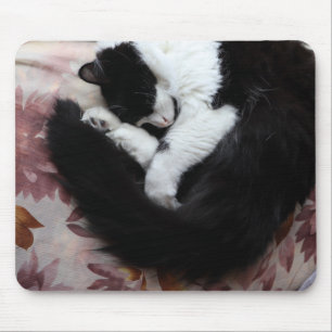 Tuxedo Kat Kitty Cats Schwarz-Weiß Caturday Mousepad