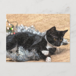 Tuxedo-Kätzchen Flitter und Lichter Postkarte
