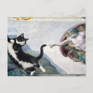 Tuxedo-Katze berührt die göttliche Pfote Postkarte