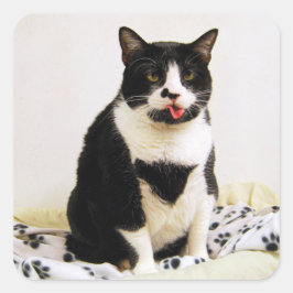 Tuxedo Katze, die sich die Zunge heraushält Quadratischer Aufkleber
