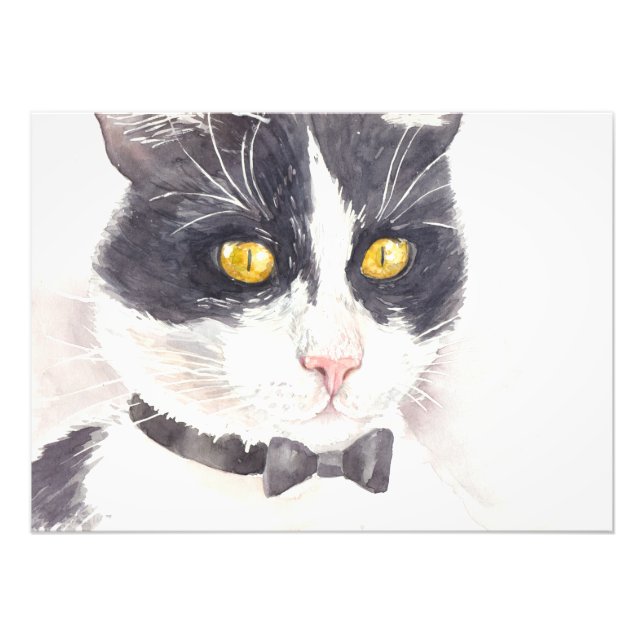 Tuxedo-Katze Fotodruck (Vorne)