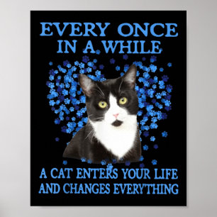 Tuxedo Katze immer und immer, wenn eine Katze in I Poster