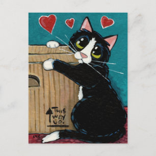 Tuxedo Katze in Liebe mit Postkarte