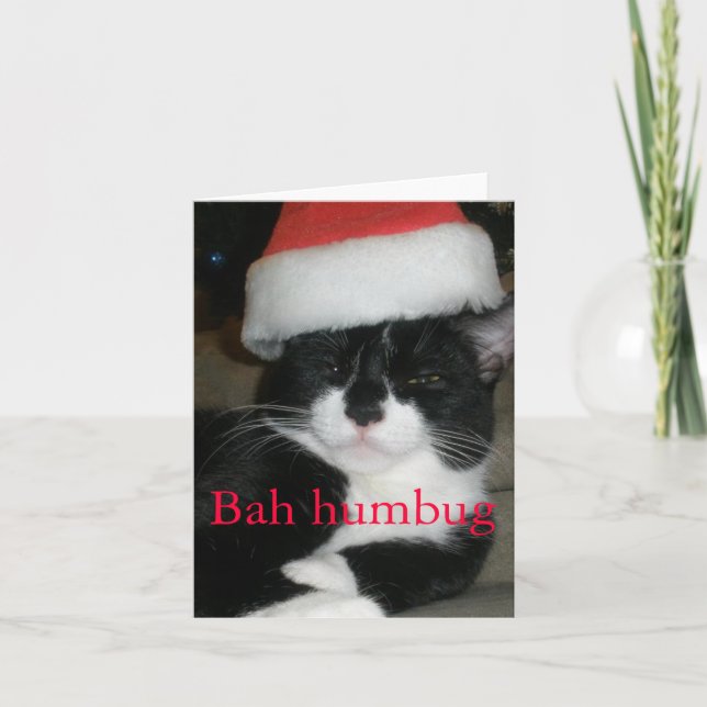 Tuxedo Katze in Weihnachtsmannmütze Feiertagskarte (Vorderseite)