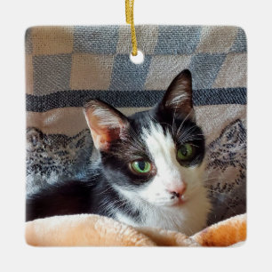 Tuxedo-Katze Keramikornament