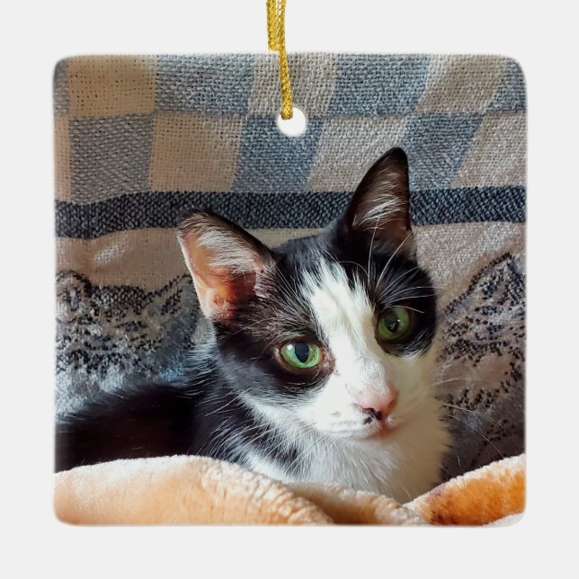 Tuxedo-Katze Keramikornament (Vorderseite)