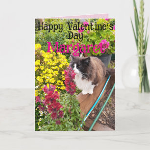 Tuxedo-Katze Lustig Rot Gelb Valentinstag Ehefraue Karte