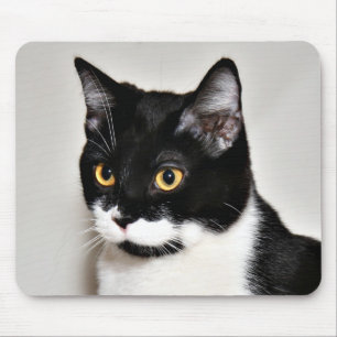 Tuxedo-Katze Mousepad