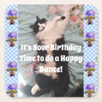 Tuxedo Katze Niedlich Funny Cats Glückliche Geburt