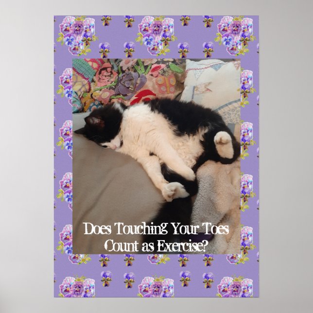 Tuxedo Katze Niedlich Funny Touching Zehen Katzen  Poster (Vorne)