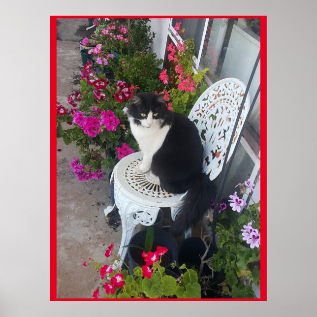 Tuxedo Katze Niedlich mit Hübschen Blume Schwarze  Poster (Vorne)