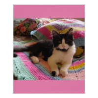 Tuxedo Katze Niedlich mit Hübschen Crochet Rug Pin