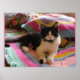 Tuxedo Katze Niedlich Schlafen Crochet Rug Katzen Poster