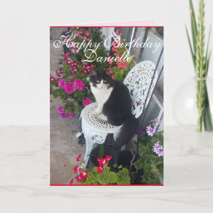 Tuxedo Katze Niedliche Hübsche Blume Katzen Geburt Karte