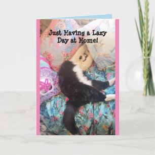 Tuxedo Katze Niedliche Schlafkatze Lazy Day Card Karte