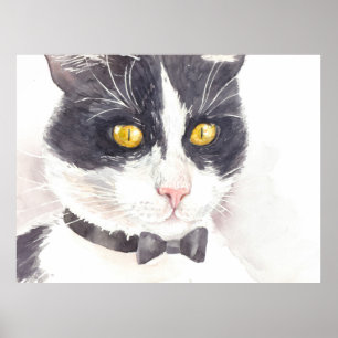 Tuxedo-Katze Poster