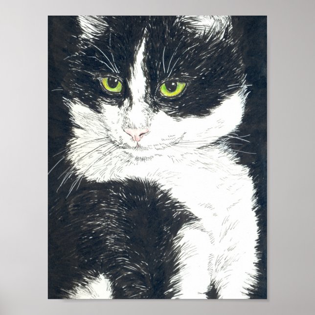 Tuxedo-Katze Poster (Vorne)