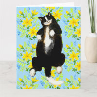 Tuxedo Katze Schlafen auf Blumenbeet