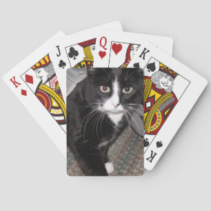 Tuxedo Katze Schwarz-Weiß Spielkarten