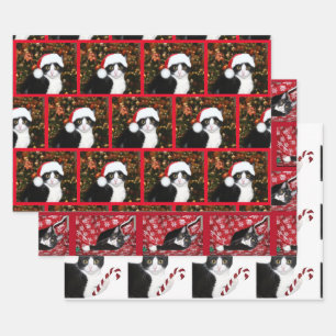 Tuxedo Katze Weihnachten Geschenkpapier Set