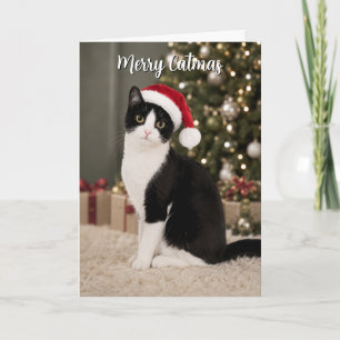 Tuxedo-Katze Weihnachten Santa Hut Lustig Merry Ca