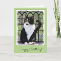 Tuxedo Katzenmalerei - Niedliche Originalkatzenart