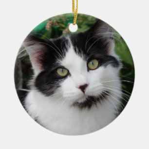 Tuxedo-Katzenverzierung Keramik Ornament