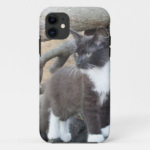 Tuxedo Kitten iPhone 11 Hülle