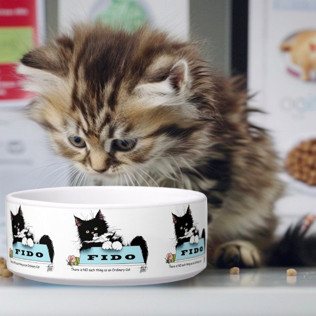 Tuxedo Kitten Dogs Bowl Napf (Von Creator hochgeladen)