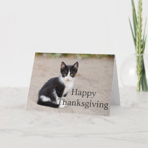 Tuxedo Kitten: Glückliche Thanksgiving Grußkarte Feiertagskarte