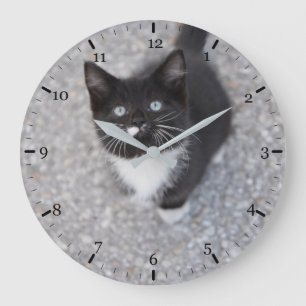 Tuxedo Kitten Große Wanduhr