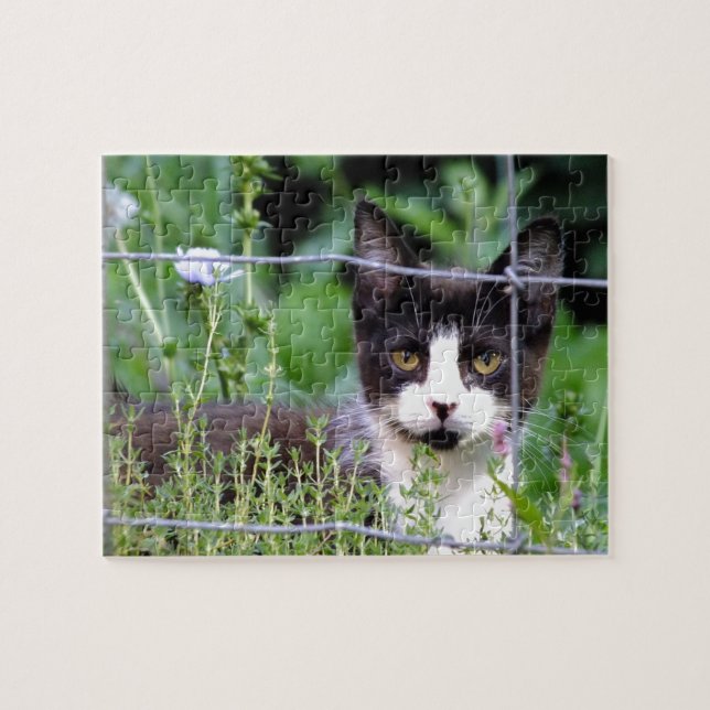 Tuxedo Kitten im Gartenpuzzle Puzzle (Horizontal)
