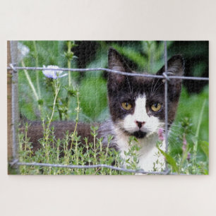 Tuxedo Kitten im Gartenpuzzle Puzzle