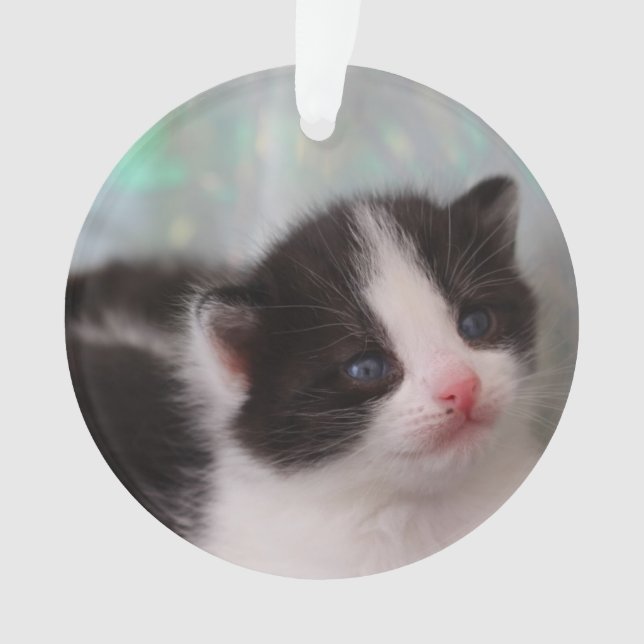 Tuxedo Kitten Ornament (Vorderseite)