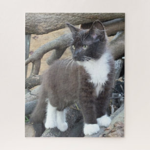 Tuxedo Kitten Puzzle