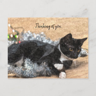 Tuxedo Kitten Tinsel und Lichter denken Sie an Sie Postkarte