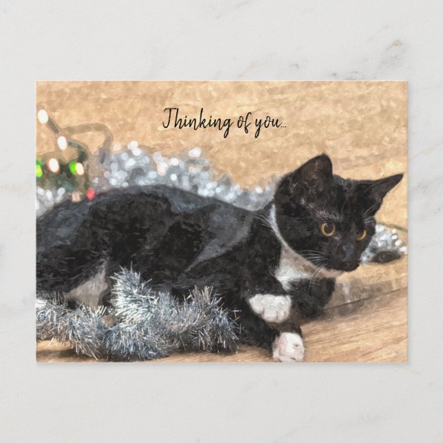 Tuxedo Kitten Tinsel und Lichter denken Sie an Sie Postkarte (Vorderseite)