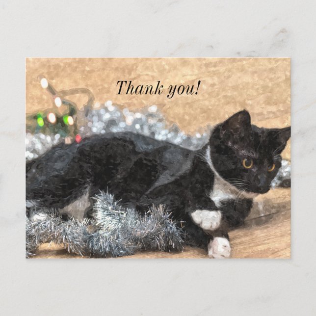 Tuxedo Kitten Tinsel und Lights Danke Postard Postkarte (Vorderseite)
