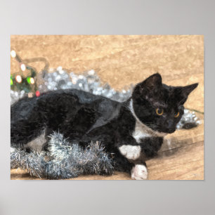Tuxedo Kitten Tinsel und Lights Painterly Poster