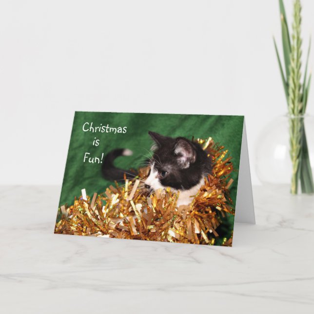 Tuxedo kitten Weihnachten (Vorderseite)