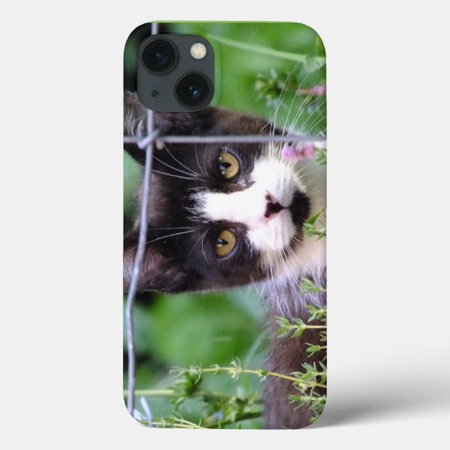 Tuxedo Kitten Xena im Garden iPad Case (Rückseite)