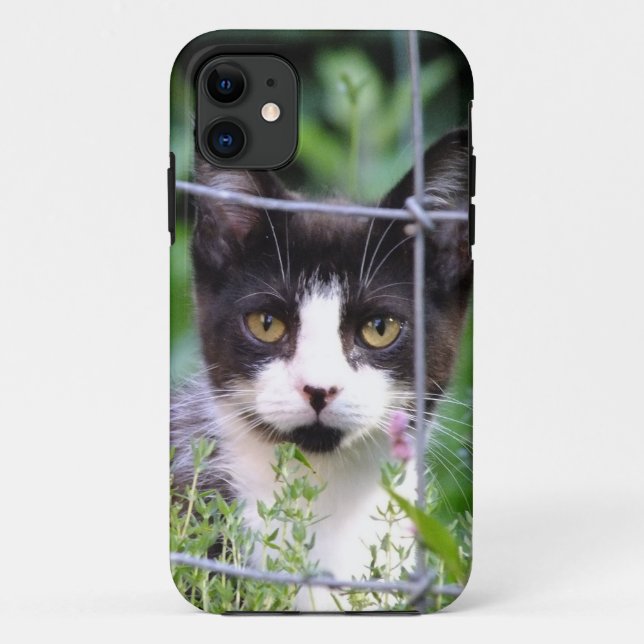 Tuxedo Kitten Xena im Garten iPhone 5 Fall Case-Mate iPhone Hülle (Rückseite)