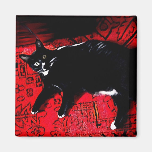 Tuxedo Kitty auf Red Rug Magnet (Vorne)