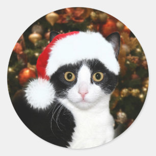 Tuxedo Kitty Cat Weihnachten Runder Aufkleber