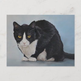 Tuxedo Schwarz-weiße häusliche Kurzkatze Postkarte