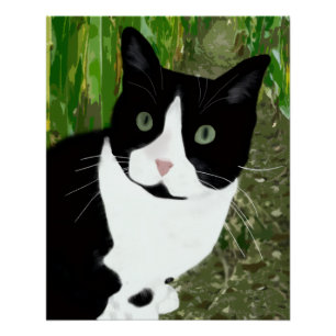 Tuxedokatze im Maisfeld Poster