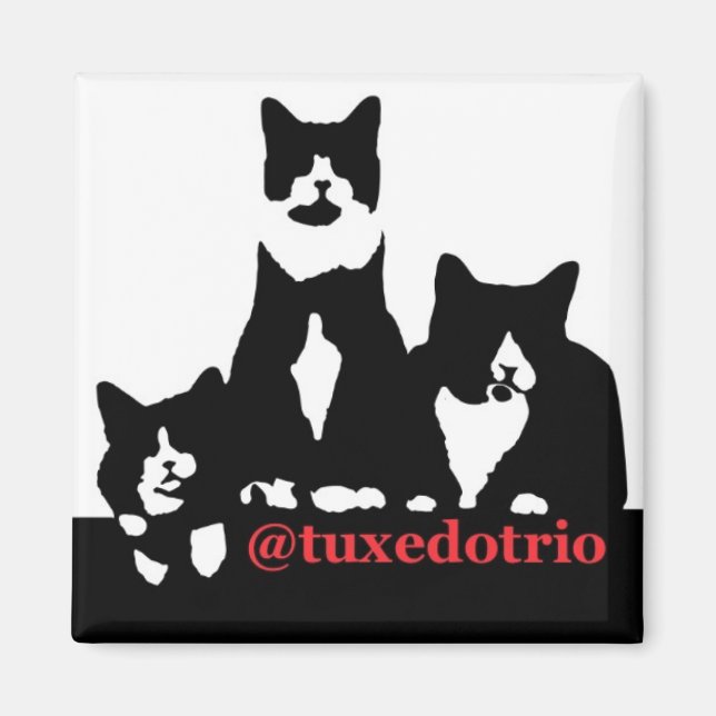 TuxedoTrio Magnet (Vorne)
