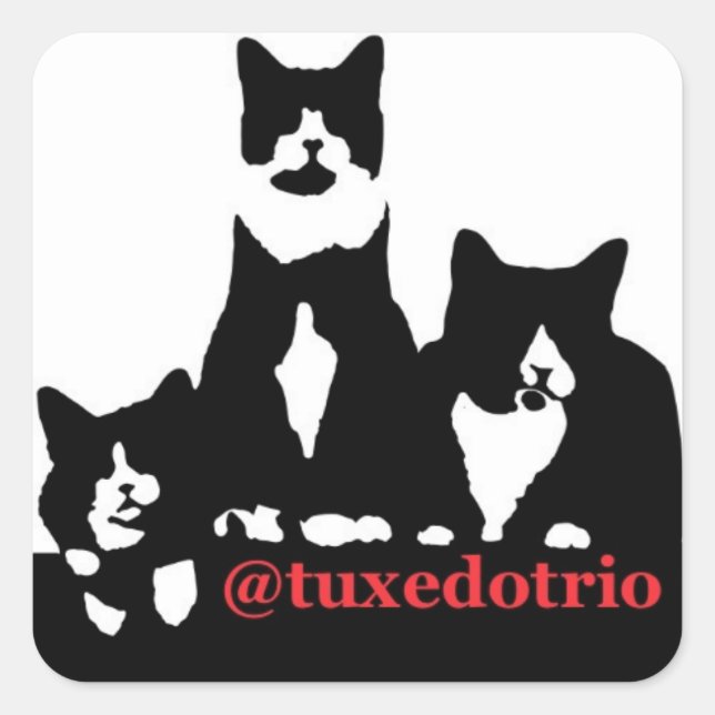 TuxedoTrio Square Quadratischer Aufkleber (Vorderseite)