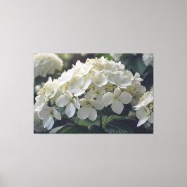 *~* TV2 Soft Hydrangea Stretched Canvas Print Leinwanddruck