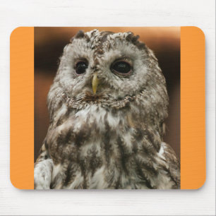 Twany Owl Mousepad